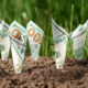 $100 bills planted in the ground. Photo by Aliaksandr Marko/stock.adobe.com